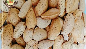 خرید بادام سنگی مرغوب از طریق وب سایت معتبر