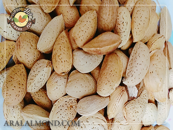 خرید بادام سنگی مرغوب از طریق وب سایت معتبر
