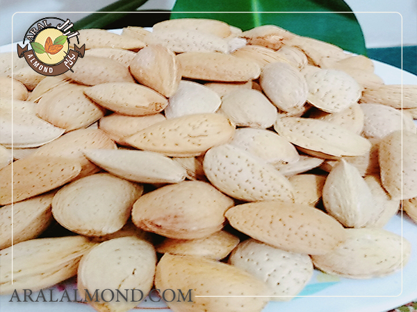 فروش مغز بادام شیرین برای روغن گیری