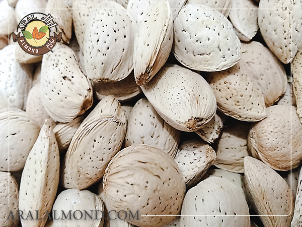 آشنایی با محصولات عرضه شده در فروشگاه بادام آرال