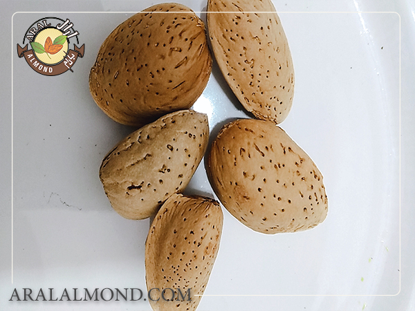 خواص بادام سنگی