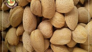 قیمت بادام سنگی با پوست