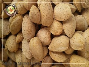 قیمت بادام سنگی با پوست