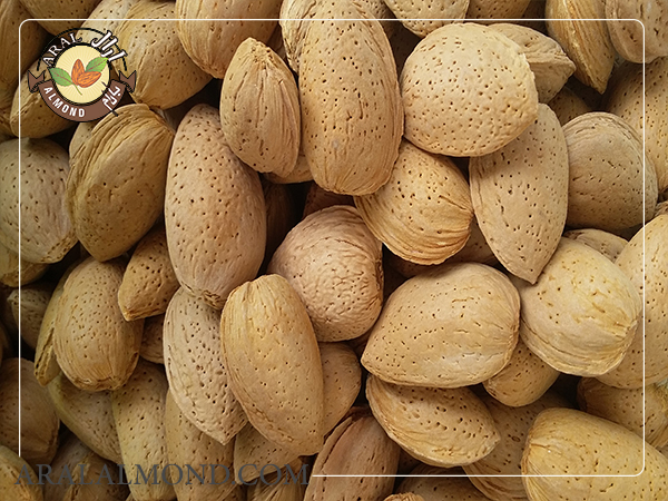 قیمت بادام سنگی با پوست