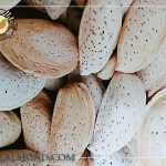 سفارش بادام آذر با قیمت مناسب