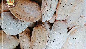 سفارش بادام آذر با قیمت مناسب