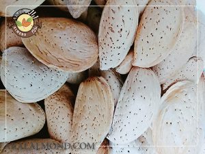 سفارش بادام آذر با قیمت مناسب