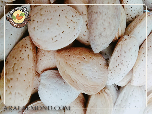 مرکز خرید بادام آذر در ایران