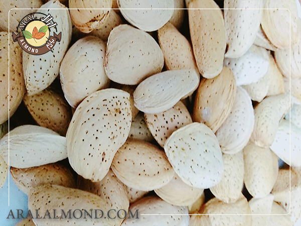 قیمت خرید بادام سنگی مرغوب را از آرال بخواهید