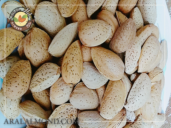 خرید بادام سنگی مرغوب چهارمحال و بختیاری