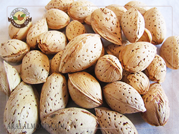 بادام درختی به چند دسته تقسیم می شود؟