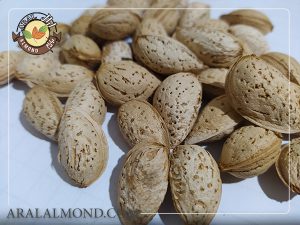قیمت بادام پوست کاغذی درجه یک و درشت