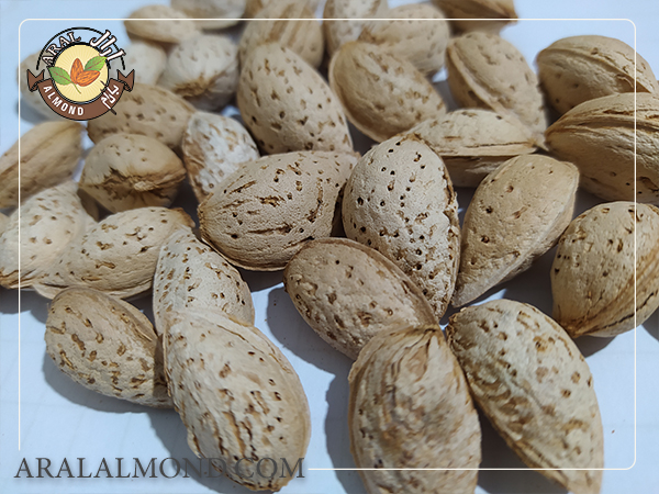 خواص بادام پوست کاغذی