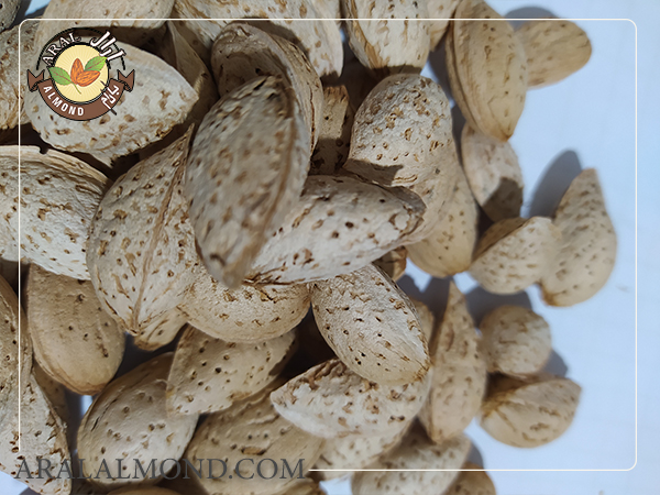 اهمیت خرید بادام پوست کاغذی درجه یک و درشت