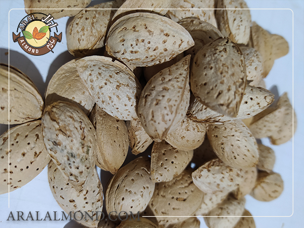 خرید بادام منقا درجه یک از آرال آلموند