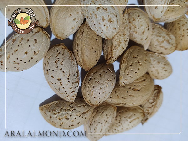 صادرات بادام منقا