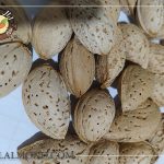 سفارش بادام پوست کاغذی درجه یک