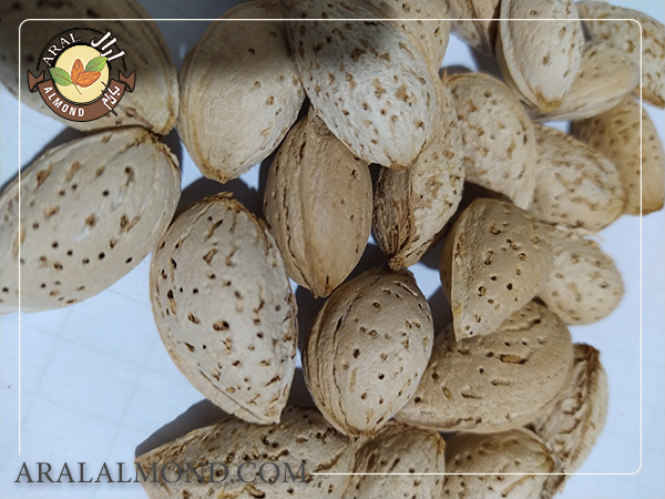 فروشگاه اینترنتی آرال عرضه کننده بادام منقا