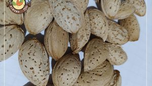 خرید بادام منقا درجه یک به صورت اینترنتی