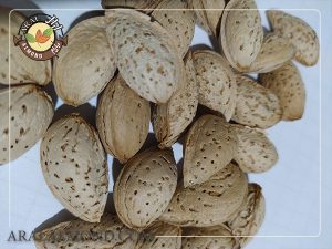 خرید بادام منقا درجه یک به صورت اینترنتی
