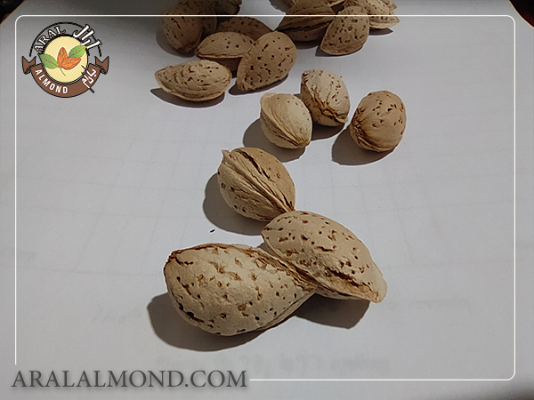 قیمت بادام محب با کیفیت باور نکردنی