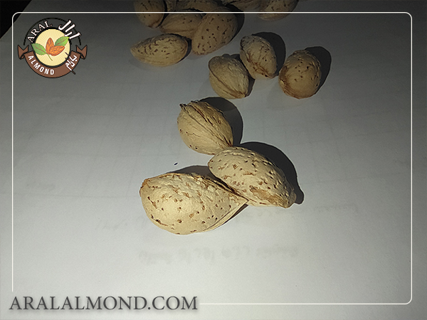 در ادامه به برخی دیگر خواص بادام می پردازیم