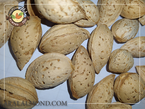 معرفی بادام محب و آشنایی با خواص آن