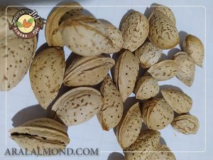 قیمت بادام محب با کیفیت باور نکردنی