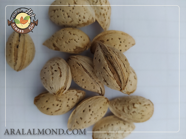 ویژگی های بادام پوست کاغذی