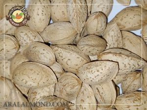 قیمت بادام منقا تازه و درجه یک