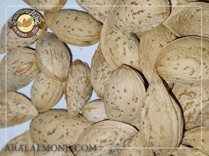 صادرات بادام درختی به هند