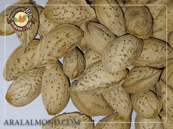 ویژگی های بادام پوست کاغذی