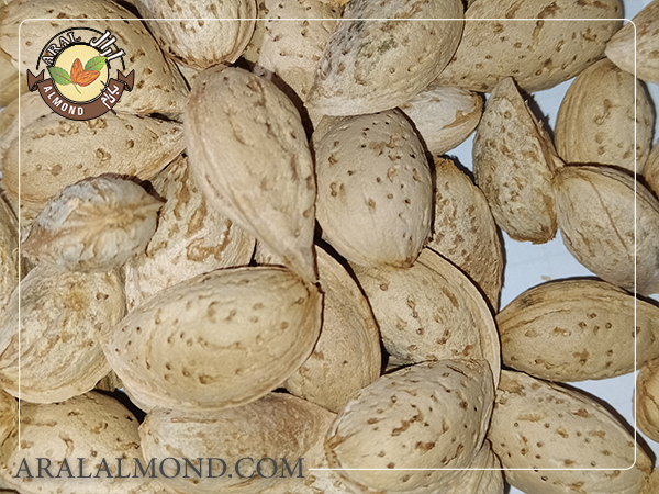 خواص بادام پوست کاغذی