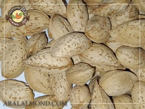 خرید بادام پوست کاغذی با کیفیت بالا و قیمت مناسب