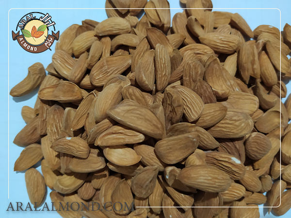 قیمت فروش بادام درختی چهارمحال و بختیاری