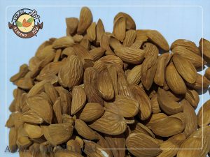 ریز و درشت بودن بادام