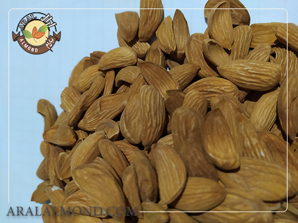 قیمت خرید مغز بادام مامایی شهرکرد را چگونه تعیین می کنند؟