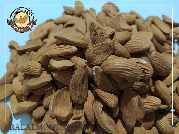 صادرات مغز بادام مامایی درجه یک