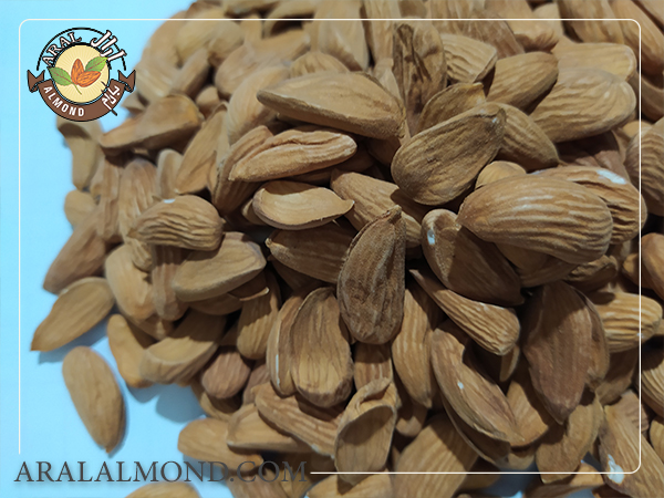 صادرات مغز بادام مامایی درجه یک