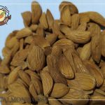 صادرات بادام مامایی سامان با قیمت عالی