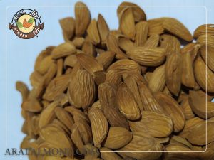 صادرات مغز بادام مامایی درجه یک