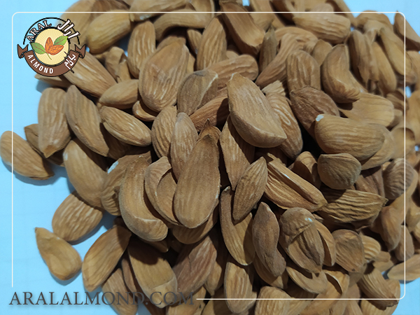 صادرات مغز بادام مامایی درجه یک به صورت عمده توسط آرال