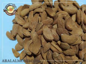 فروش مغز بادام مامایی مرغوب سامان