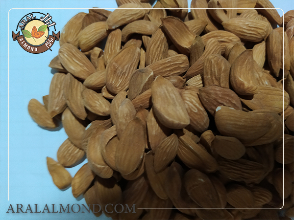 کشورهای مقصد صادرات مغز بادام مامایی