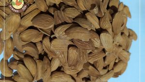 خرید مغز بادام مامایی شهرکرد با قیمت مناسب