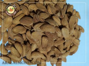 خرید مغز بادام مامایی شهرکرد با قیمت مناسب