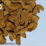 صادرات مغز بادام مامایی درجه یک عمده
