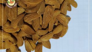 صادرات مغز بادام مامایی درجه یک عمده