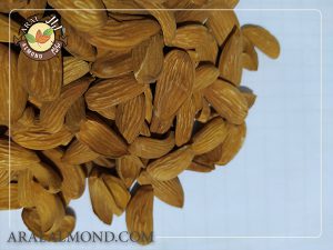 صادرات مغز بادام مامایی درجه یک عمده