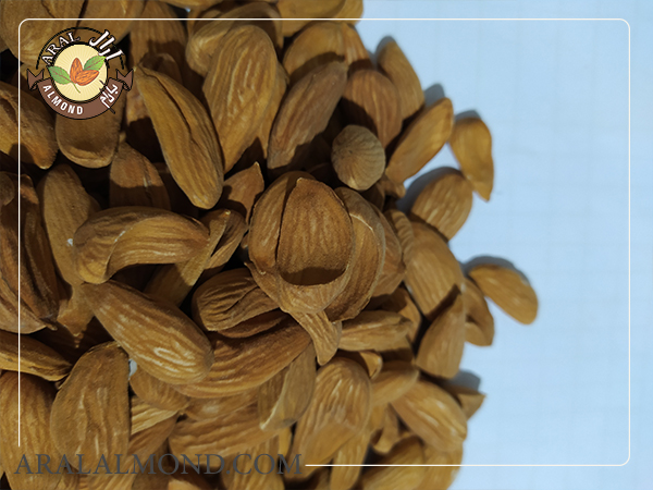 صادرات مغز بادام مامایی درجه یک